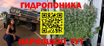 трава Абинск