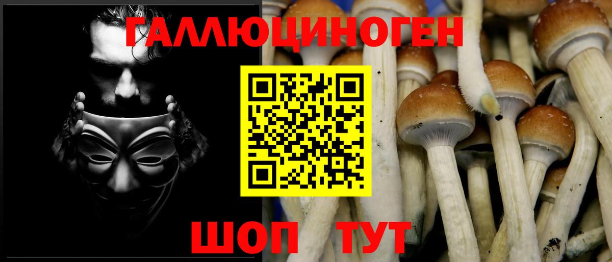 Псилоцибиновые грибы мицелий Амурск