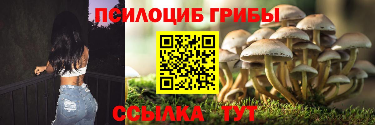 Амурск  Галлюциногенные грибы MAGIC MUSHROOMS  Вход с VPN 