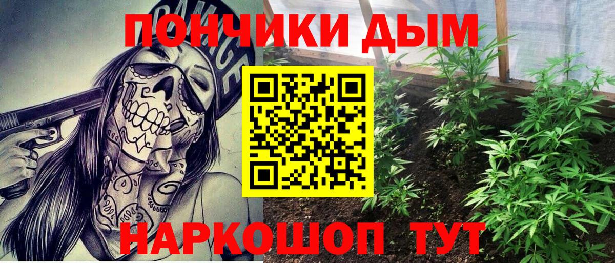 Шишки марихуана планчик  МАРИХУАНА ГИДРОПОН  Амурск  Шишки марихуана Bruce Banner  Вход с VPN 